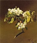 Blossoms Canvas Paintings - A Spray of Apple Blossoms 1870